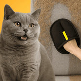 FurEase – Huisdierhaar Verwijderhandschoen voor Alle Vachtsoorten