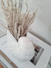 AquaShell – Decoratieve Zeeschelp 22x12cm