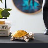 ZenGuard - Feng Shui Schelp Decor