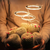 VerdeLux - Groeilampen voor Binnenplanten