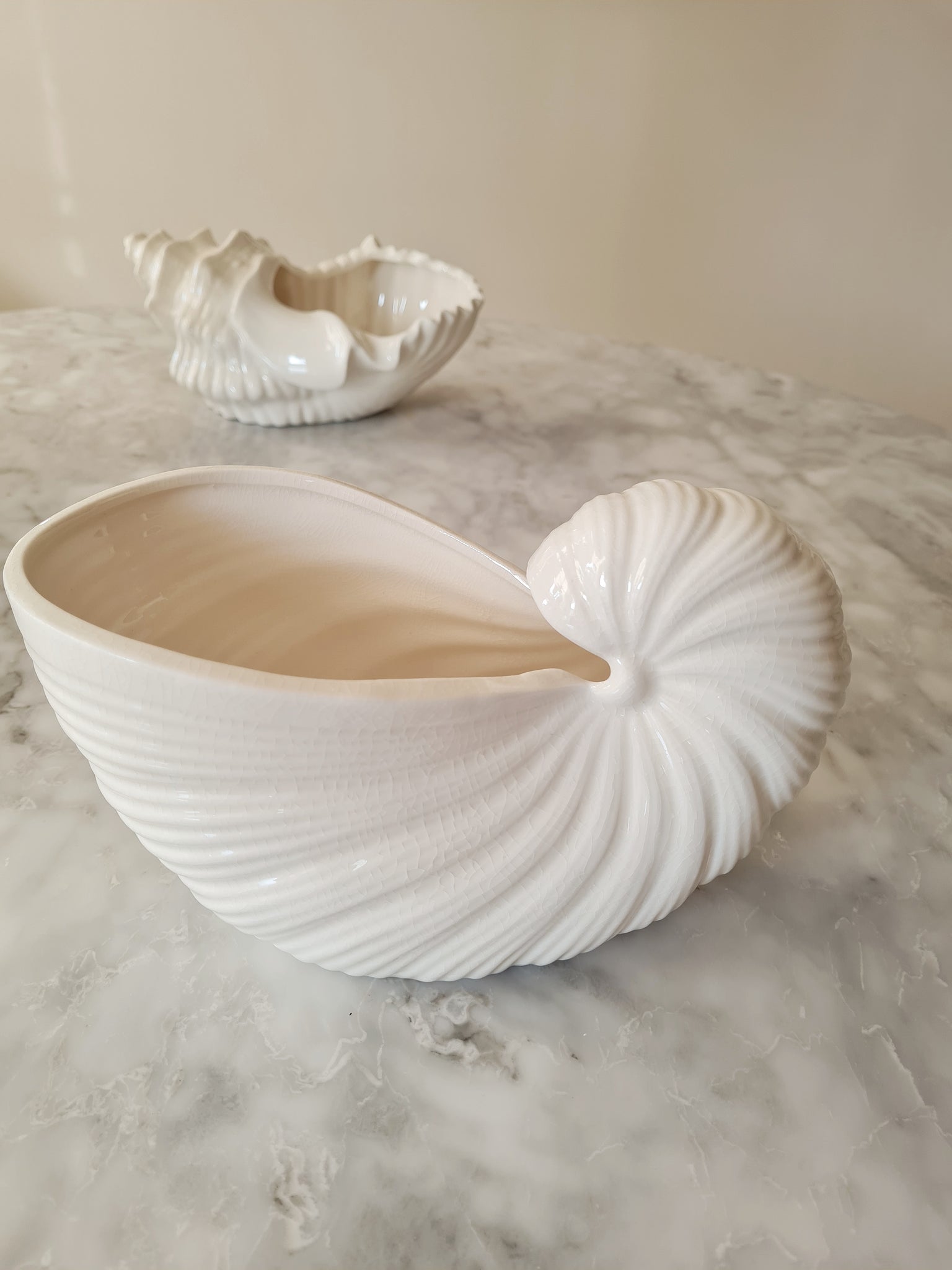 AquaShell – Decoratieve Zeeschelp 22x12cm