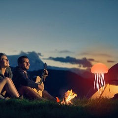 Luminis – Stemgestuurde Kwal Decoratie