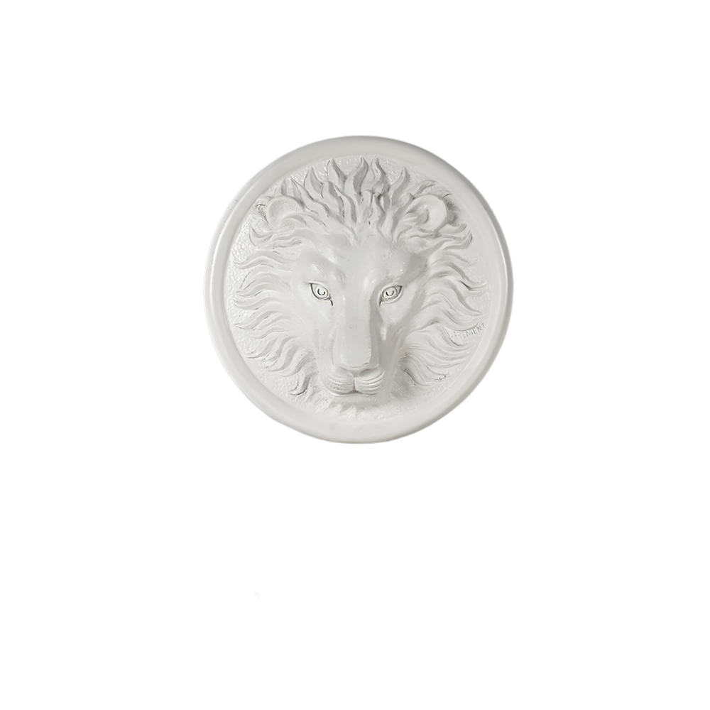 Lioverse - Surrealistische Leeuwenkop Muurkunst