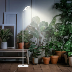 MistyGlow - Full Spectrum LED Plantenlamp met Verstelbaar Statief