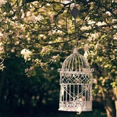 EcoLift - Planten Katrol Set voor Hangende Manden & Potten