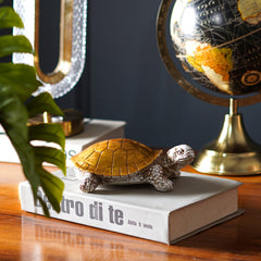Rustgevende Beschermer - Feng Shui Schildpad Schelp Decor