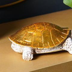 Rustgevende Beschermer - Feng Shui Schildpad Schelp Decor