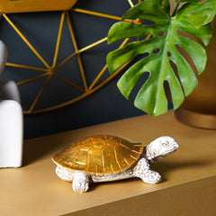 ZenGuard - Feng Shui Schelp Decor