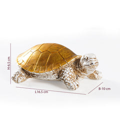 Rustgevende Beschermer - Feng Shui Schildpad Schelp Decor