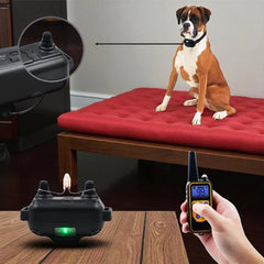 TrainPaw – Elektrische Trainingshalsband Hond