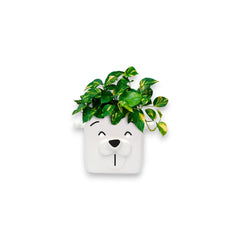 Puppy Planter - Keramische Snuit Planter voor Brillen en Planten