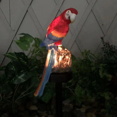 ZonVogel - Solar Papegaai Tuinlamp voor Buiten Decoratie