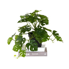 Leafora - Kunstplanten met Schildpadblad voor Woon- & Tuindecoratie