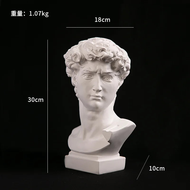 Veroza - David Hoofd Resin Standbeeld