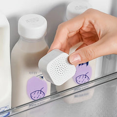 Friloxa – Geurbestrijding Set voor Koelkast & Kast