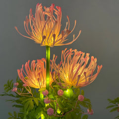 Luminara Bloom - 2-Pack Zonnebloemlampen