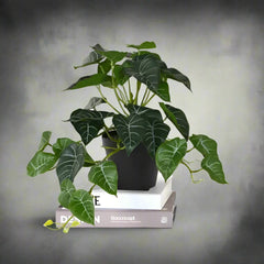 Leafora - Kunstplanten met Schildpadblad voor Woon- & Tuindecoratie