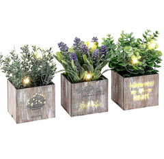 GlowPlants - Set van Unieke Kunstplanten met LED Verlichting