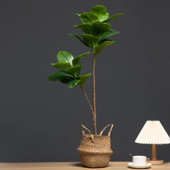 FloraGrove - 105 cm Kunstmatige Magnolia Tak