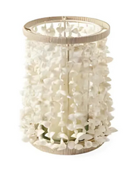 Tropische Charme - Schelpen Strand Wanddecoratie