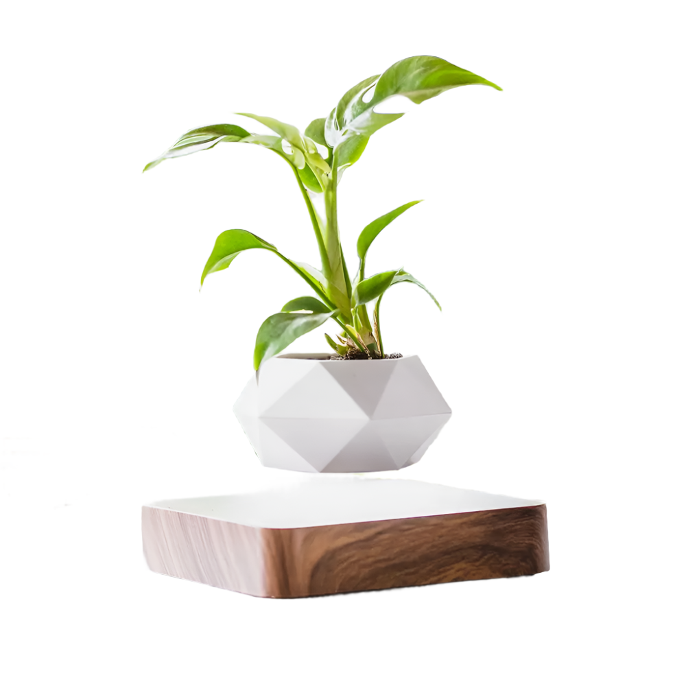 LeviFlora - Magnetisch Zwevend Plantenpot