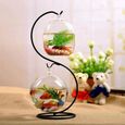 AquaVista - Hangend Helder Aquarium voor Goudvissen & Mosgroei