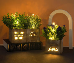 LumiFlora – Unieke Kunstplanten met LED Verlichting Set